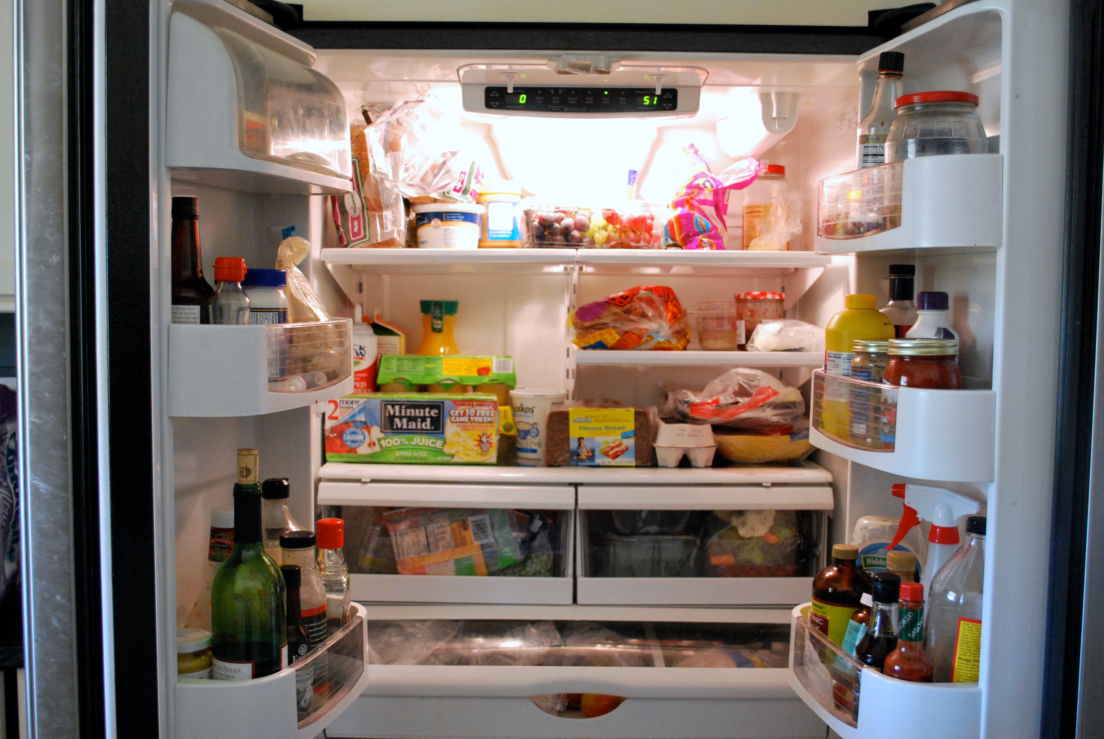 The Refrigerator [1991]