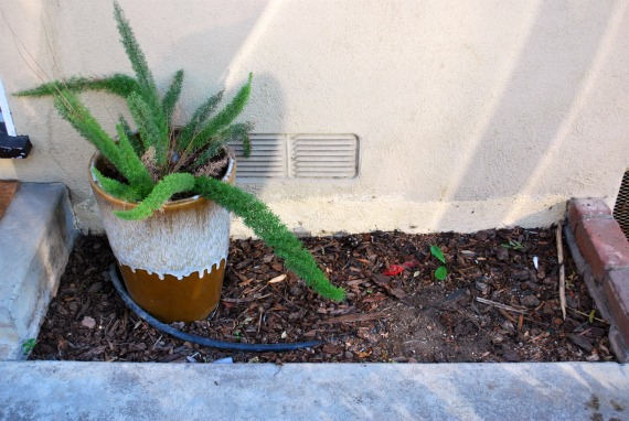 WM-plants, 3