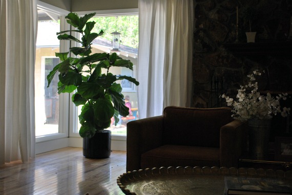 WM-plants, 7