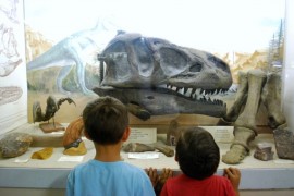 DSC_T-Rex Head