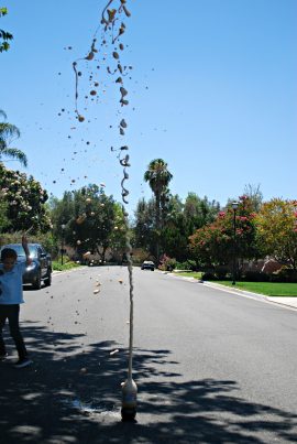 Launch, 3