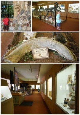 Museum Collage
