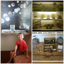 Museum Collage, ii