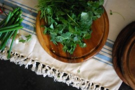 Texas Caviar, Cilantro