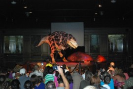 NHM, 10
