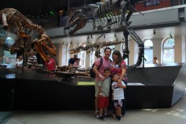 NHM, 3