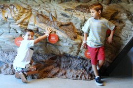 NHM, 5