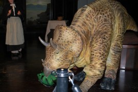 NHM, 7