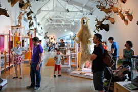 NHM, 9