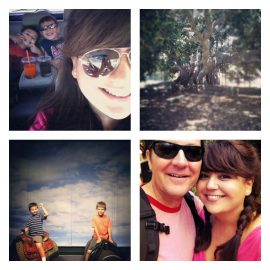 SD 2 Collage