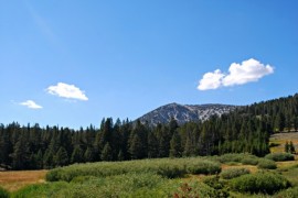 Mt Rose HWY