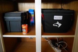 Fish Cabinet, 10