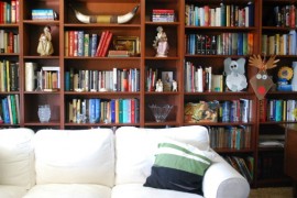 YA Library, 3