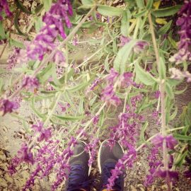 365-Week 4, 2