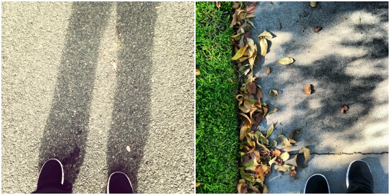 365Week1, 1 Collage