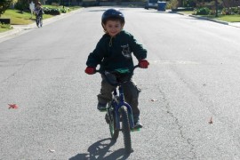 Nico Bike