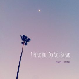"I bend but do not break."
