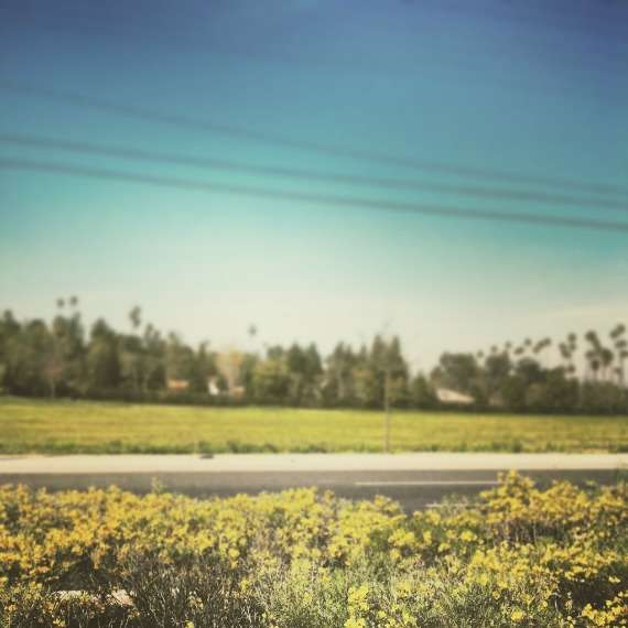 Almost home