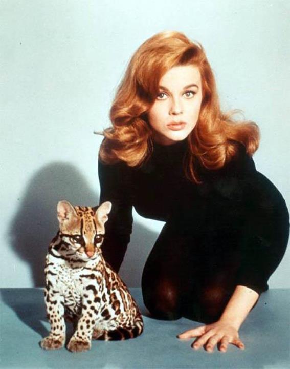 Ann Margret