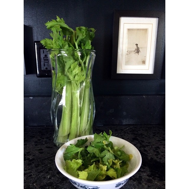 celery salt